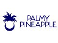 Palmy Pineapple Coupon Code